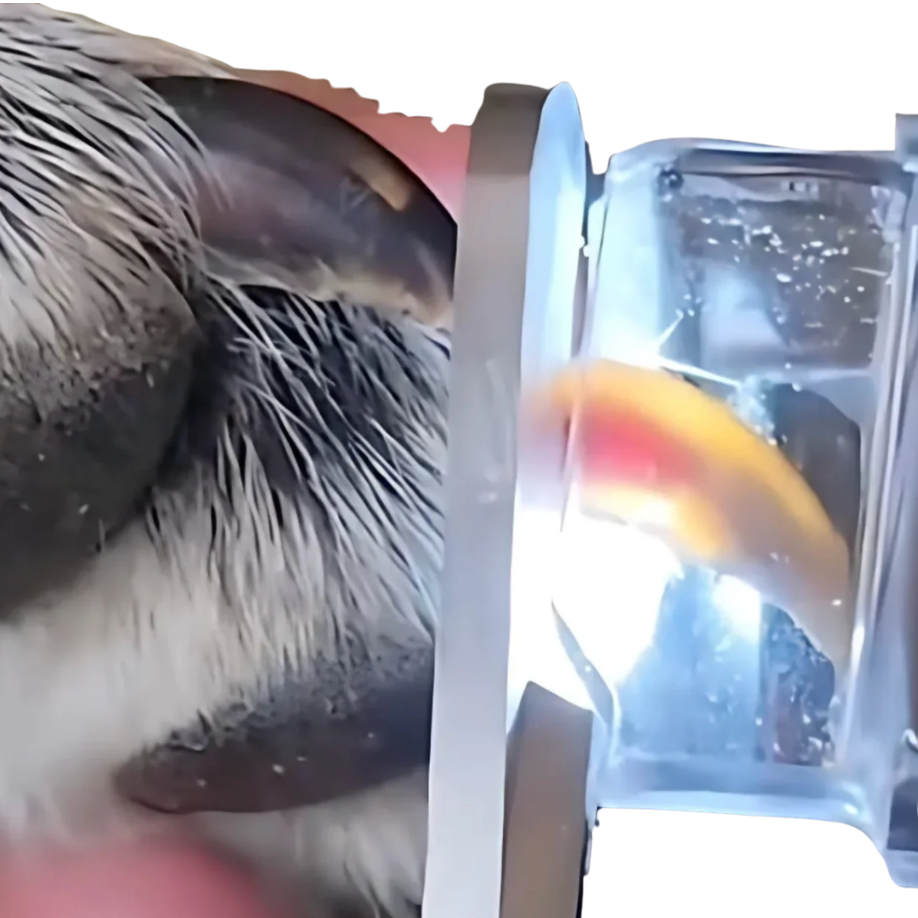 ZooNova Smart Kloslip