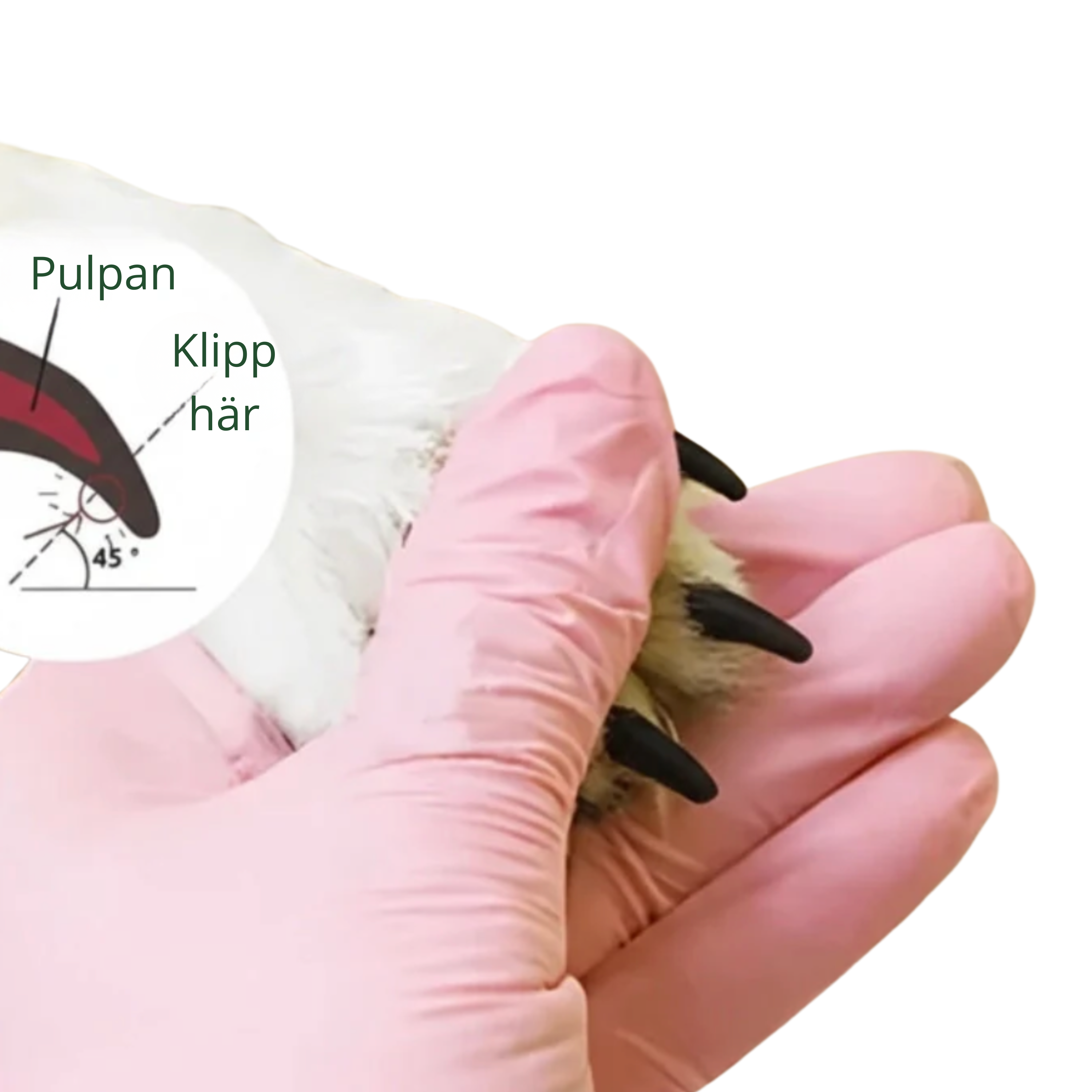 ZooNova Smart Kloslip