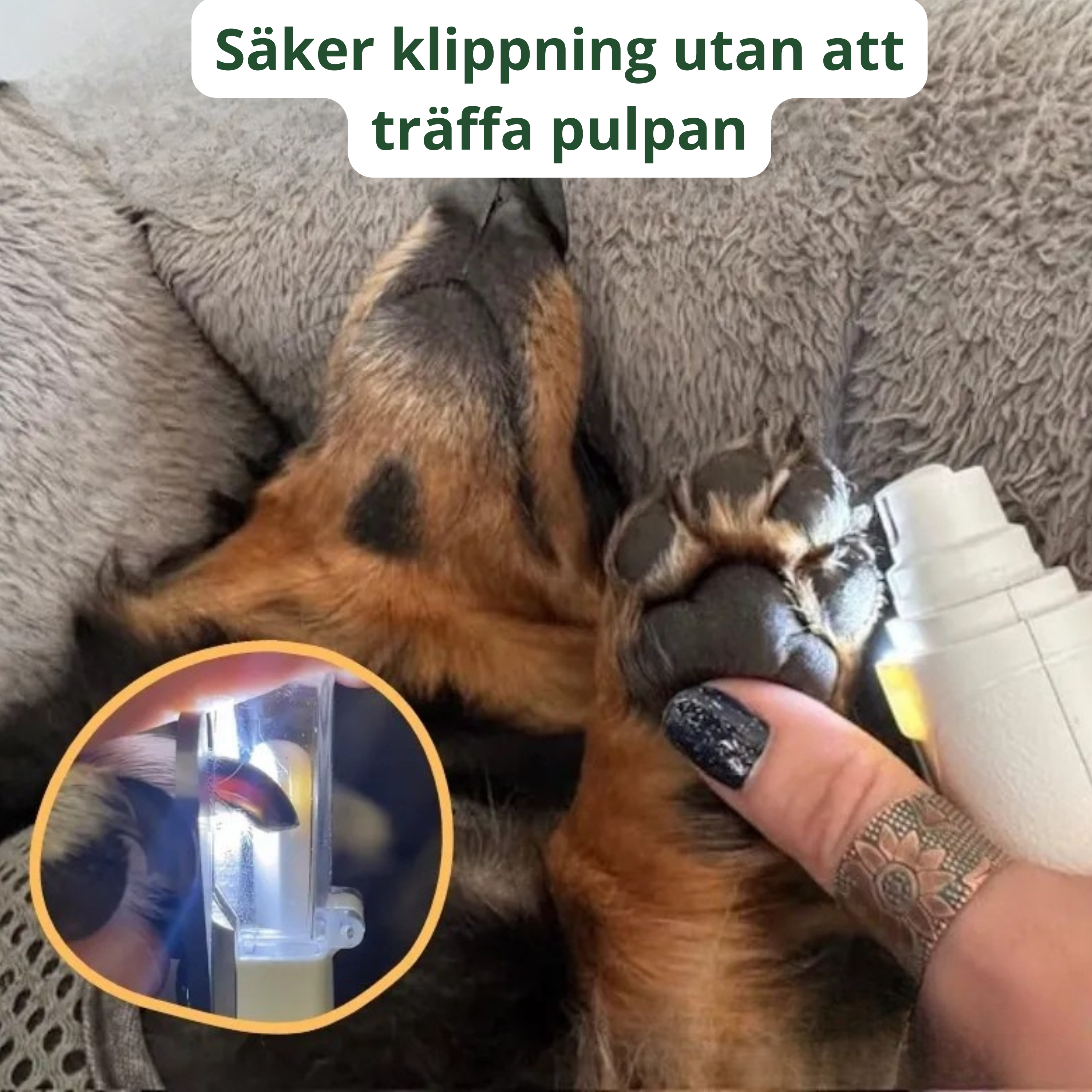 ZooNova Smart Kloslip